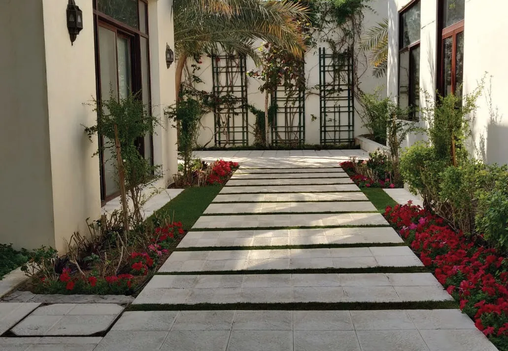 Garden pathway lined with planting