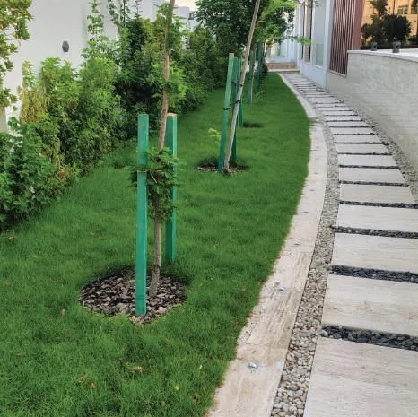 Lawn with young staked trees beside a stepping-stone path and gravel strip
