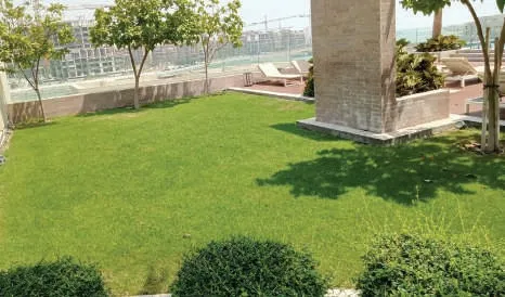 Rooftop lawn with clipped shrubs and young trees