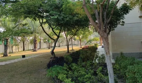Shaded garden with trees, planted borders and a path