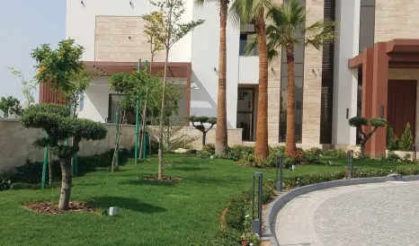 Villa garden with sculpted trees, lawn and a paved driveway