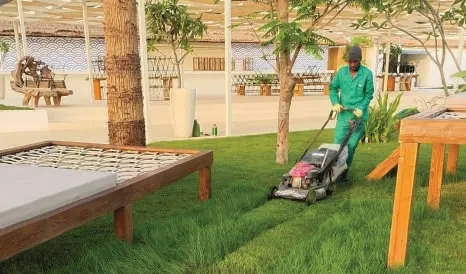Gardener mowing a lawn beside outdoor day beds